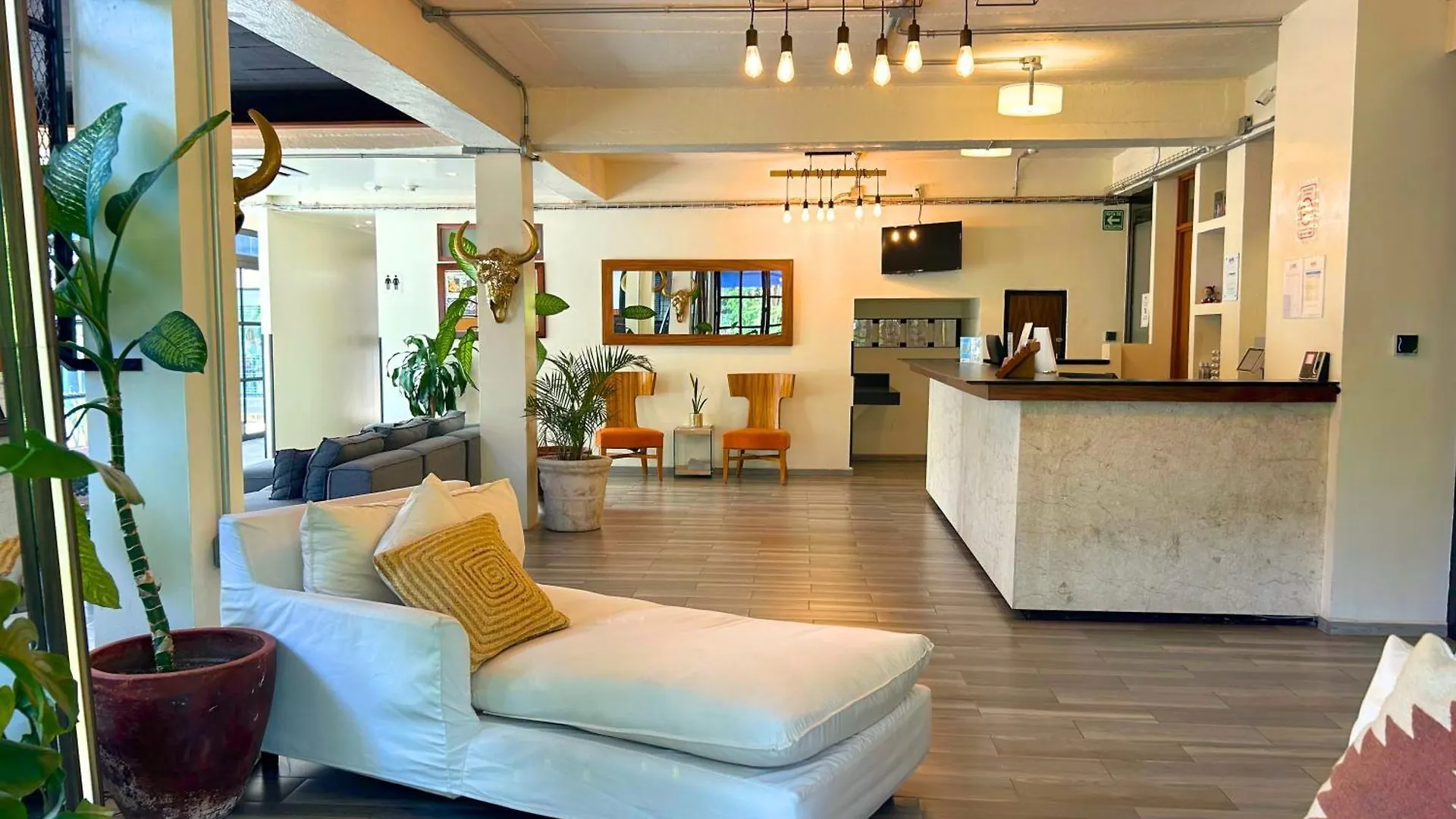 Joint Boutique Hotel Zona Romantica Puerto Vallarta Mexiko